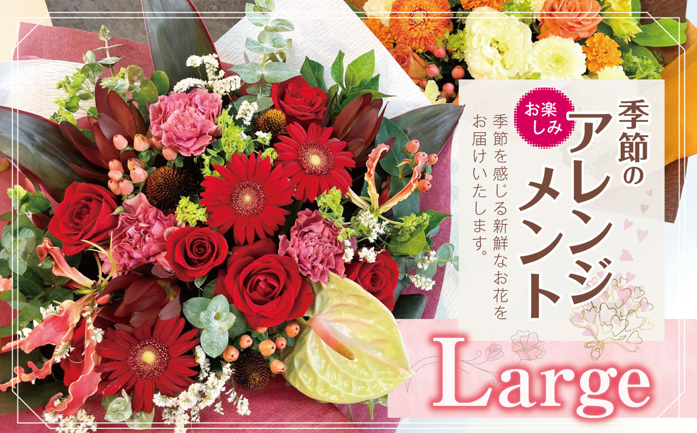 
            フラワー アレンジ 「Large」 お楽しみ 季節 の アレンジメント |  アレンジ タイプ 高さ約42cm 幅約40cm お花 flower フラワー ふらわー 花 はな リトルシード インテリア 植物 お任せ お見舞い ギフト お祝い 誕生日 親孝行 プレゼント贈り物 新鮮 調布  東京都
          