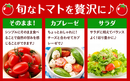 T02 栃木県野木町産ミニトマト小箱（約1.5kg）