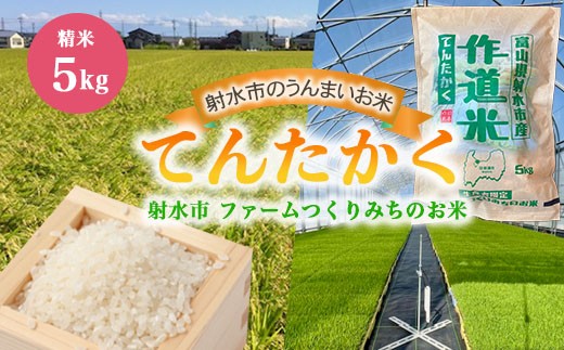 【射水市】【射水の美味しいお米】ファームつくりみちのお米　作道米R8年度産てんたかく5kg【精米】｜米 こめ コメ てんたかく 天高く 白米 ブランド米 銘柄米 人気 ランキング 富山 富山米 北陸 北陸米 富山てんたかく 北陸てんたかく 精米てんたかく 5キロ 5キロ米 5kg 5kg米 ※離島への配送不可  ※2026年8月中旬～9月上旬頃に順次発送予定