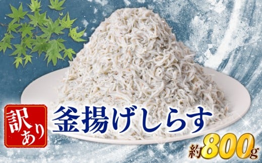 訳あり 釜揚げしらす 約800g しらす 冷凍 大容量 惣菜 便利 弁当 晩ごはん 白州 白子魚介類 魚介類 海鮮 わけあり 小魚 魚 鮮魚 グルメ 人気 海の幸 ふりかけ ちりめん しらすご飯 国産 じゃこ しらす丼 人気 塩分控えめ 減塩 安芸市 高知県
