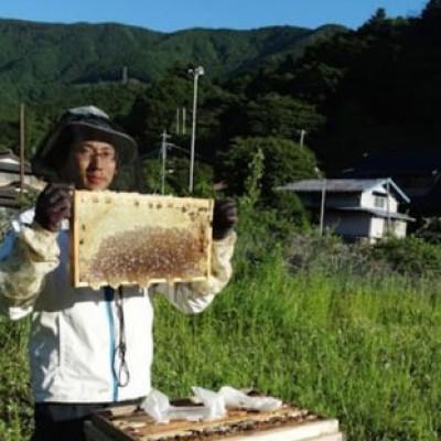 ふるさと納税 道志村 道志村産 天然はちみつ(ボトルタイプ)300g×2本 |  | 01