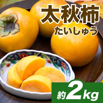 ふるさと納税 八代市 【先行予約】 太秋柿 約2kg(4〜8玉)【2026年10月上旬より順次発送】_232-6030-A