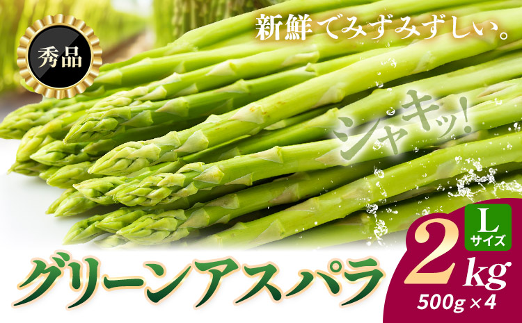 アスパラガス アスパラ グリーンアスパラ L サイズ 2kg (500g×4) 門別町農業協同組合(生活資材課) 《4月上旬-5月末頃出荷》北海道 日高町 送料無料 春野菜 春 朝採り 朝採れ お取り