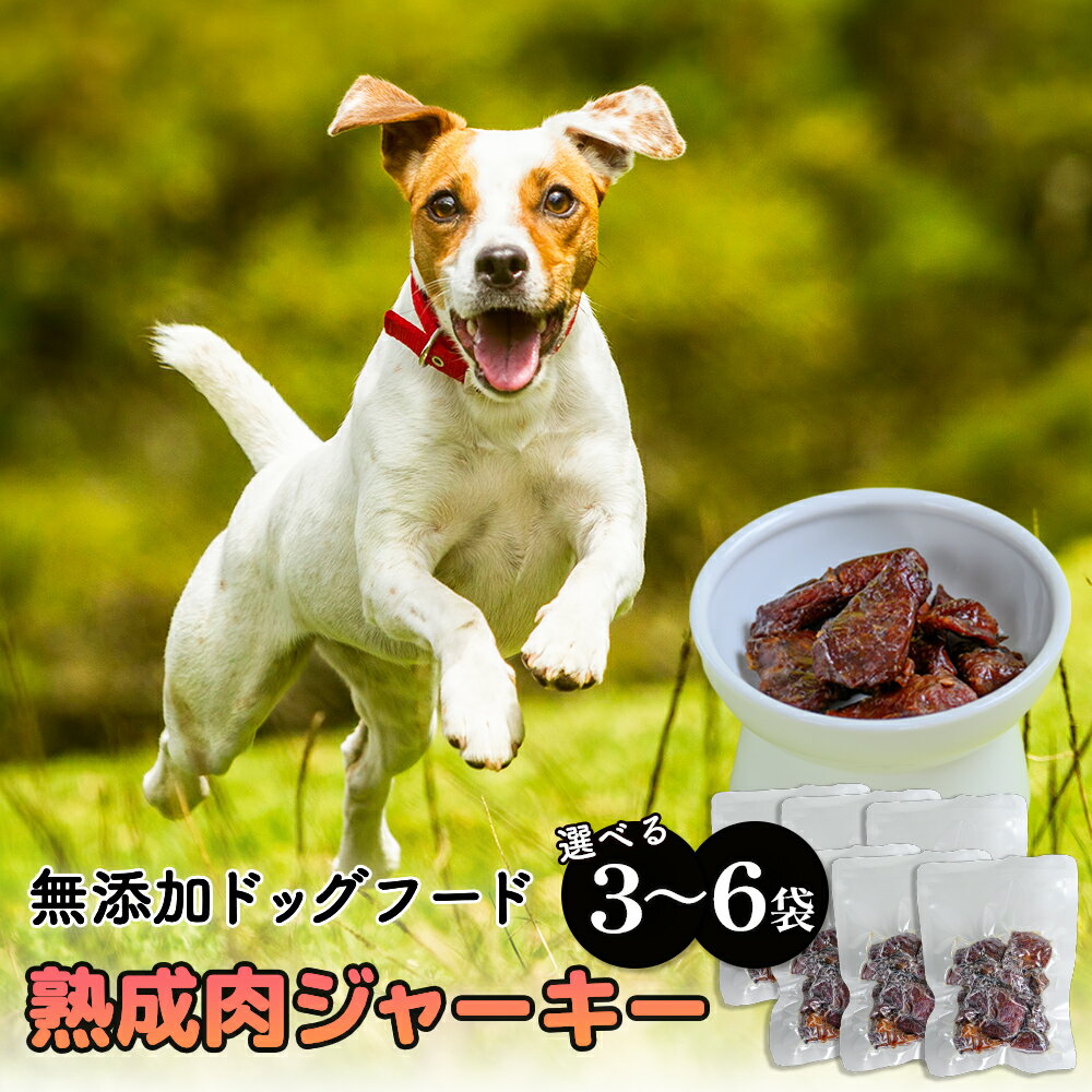 【ふるさと納税】ドッグフード 熟成肉ジャーキー 3袋-6袋入り ペット 犬 シニア犬 おやつ 沖縄県産 熟成肉 ジャーキー 無添加 沖縄県うるま市