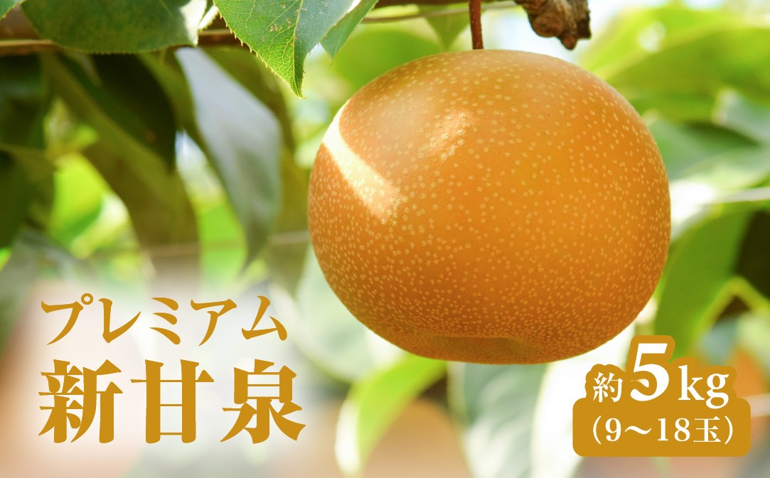 
                  プレミアム新甘泉（しんかんせん） 5kg前後 (9～18玉前後) 梨 なし フルーツ 鳥取 高間商店 日野町
                