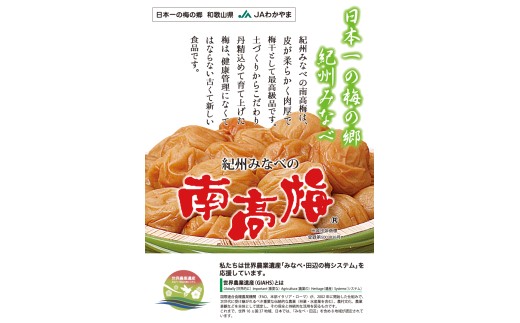 N316 紀州うす塩味梅