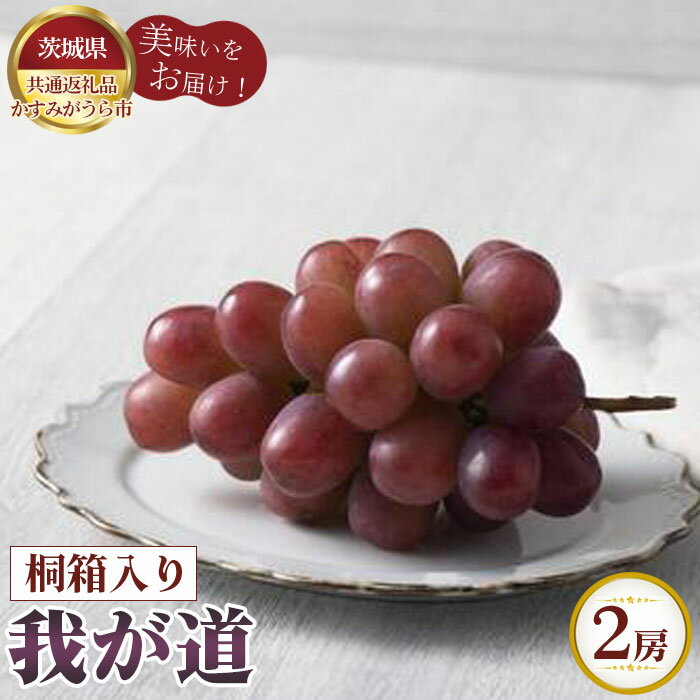 【ふるさと納税】No.317 【先行予約】我が道　桐箱入り2房【茨城県共通返礼品 かすみがうら市】 ／ ぶどう ブドウ 葡萄 フルーツ 果物 贈答用 送料無料 茨城県