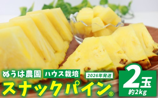 ハウス栽培　スナックパイン　２玉（約2kg） 2026年発送 沖縄県産 東村 パイナップル ジューシー 希少 高級フルーツ 南国フルーツ 国産フルーツ 農家直送 パイン 果物 贈り物 おすすめ お土産 人気 やんばる 大自然 南国気分 沖縄本島北部