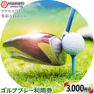 ゴルフ プレー 利用券 3000円分 株式会社東我孫子カントリークラブ《30日以内に出荷予定(土日祝を除く)》千葉県 我孫子市 送料無料 ゴルフチケット ゴルフプレー チケット 東我孫子カントリークラ