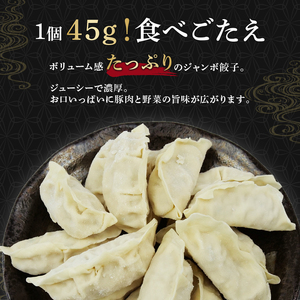 ジャンボ 餃子 60個 餃子
