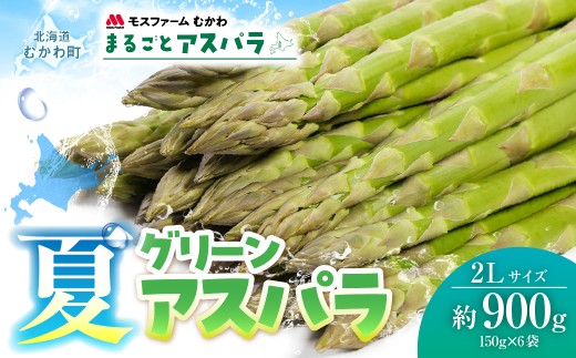 夏アスパラ2Lサイズ 約900g（150g×6袋入）  【ふるさと納税 人気 おすすめ ランキング グリーンアスパラ アスパラガス 北海道産アスパラ 産地直送 新鮮野菜 朝採りアスパラ 春野菜 国産野菜 農場直送 野菜ギフト 北海道 むかわ町 送料無料】 MKWM004