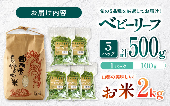 有機野菜 ベビーリーフ (100g×5パック) お米 2kg 計2.5kgセット 山都町産 産地直送 高原野菜 JAS【株式会社 清和ミネラル会】[YBT001]