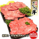 【ふるさと納税】【信州アルプス牛】霜降り・赤身焼き肉セット（計600g）　【 牛肉 お肉 国産 国産牛 日本産 食材 グルメ 長野県産 風味豊か 柔らかい ジューシー 】