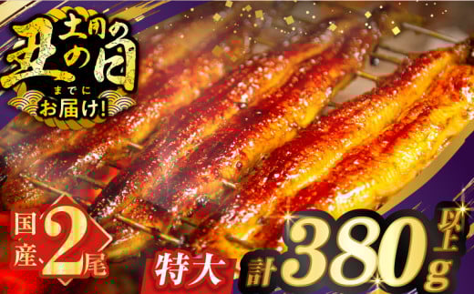 ≪6/2から寄附金額見直し予定≫【丑の日までにお届け!!】うなぎ蒲焼特大2尾(さんしょう・たれ付き)計380g以上 鰻 魚 魚介 加工品 国産_T026-006-US