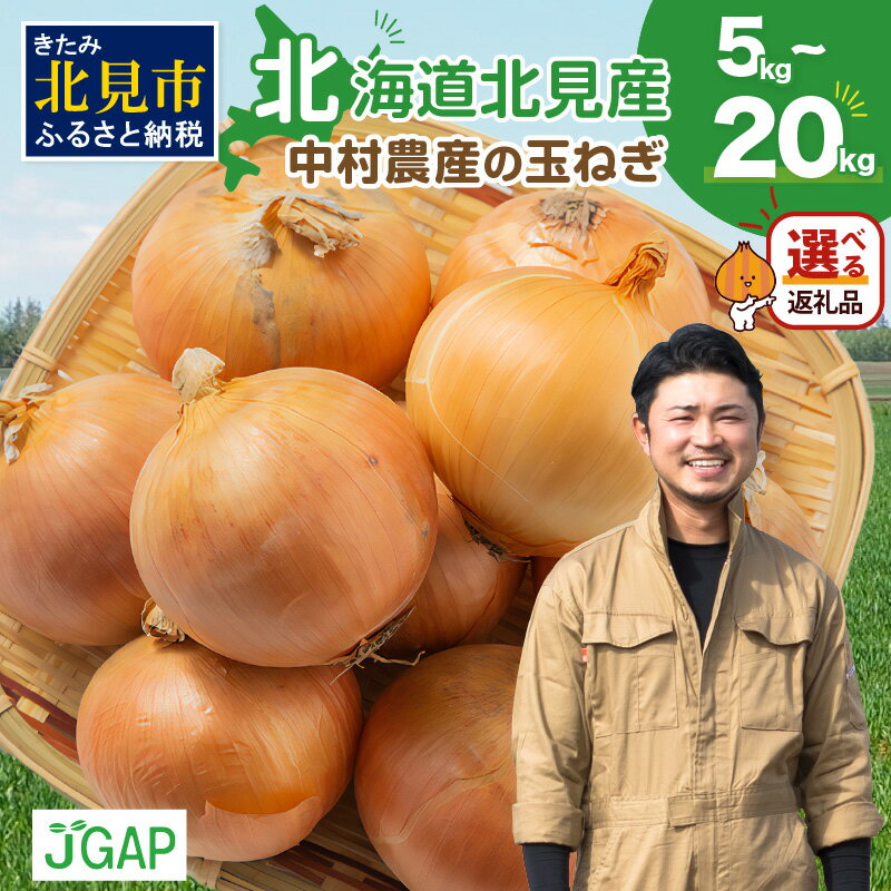 【ふるさと納税】【予約：2025年9月下旬から順次発送】北海道北見産 玉ねぎ北海道北見産 玉ねぎ 5kg 10kg 15kg 20kg ( ふるさと納税 玉ねぎ 野菜 たまねぎ タマネギ 玉葱 甘い 5キロ 10キロ 15キロ 20キロ 選べる 配送月 発送時期が選べる 先行予約 数量限定 )