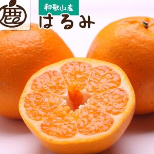 ＜2月より発送＞ 厳選 はるみ 2kg+60g（傷み補償分）デコポンの姉妹品種 新食感春みかん 光センサー選別 ［IKE210］