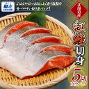 【ふるさと納税】紅鮭 5切真空パック【 ふるさと納税 人気 おすすめ ランキング 紅鮭 鮭 さけ サケ シャケ 切り身 切身 さけ切身 サケ切身 鮭切身 さけ切り身 サケ切り身 鮭切り身 長期保存 ギフト 贈答 贈り物 おかず 冷凍 オホーツク 北海道 網走市 送料無料】 ABE108