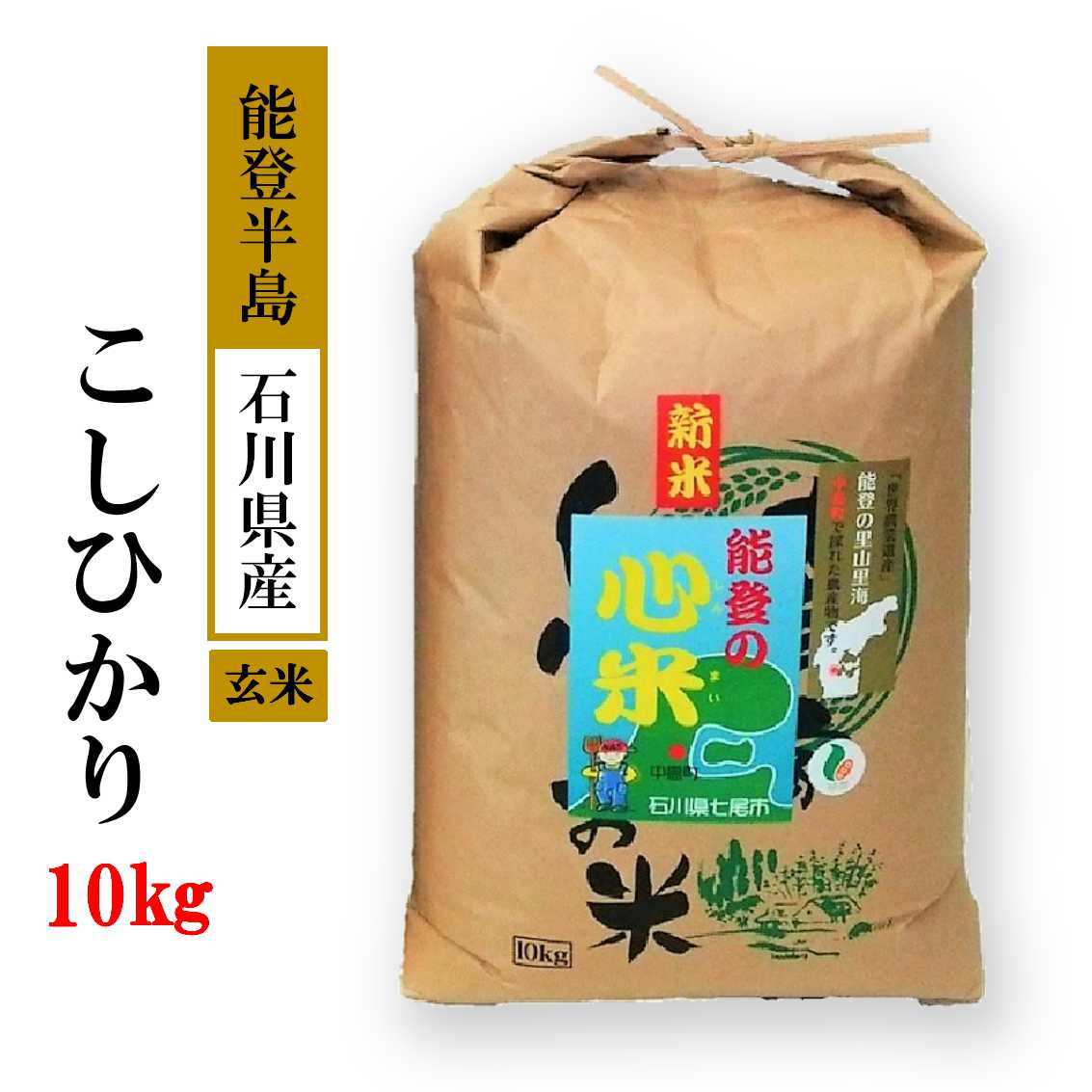 【ふるさと納税】【能登半島地震復興支援】米 玄米 10kg / こしひかり 能登の心米（玄米10kg）/10kg×1袋 ｜石川県 七尾市 ※2025年10月上旬頃より順次発送予定