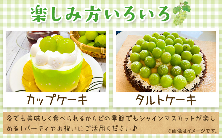 奇跡の越冬ぶどう シャインマスカット 1房 (600g以上) 五果苑《2025年11月上旬-2026年3月末頃出荷》越冬ぶどう フルーツ 果物 岡山県 浅口市 送料無料【配送不可地域あり】（北海道・沖