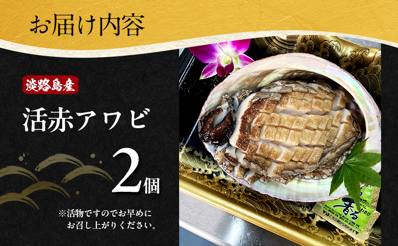 淡路島産天然活赤アワビ 2個 兵庫県 洲本市 淡路島