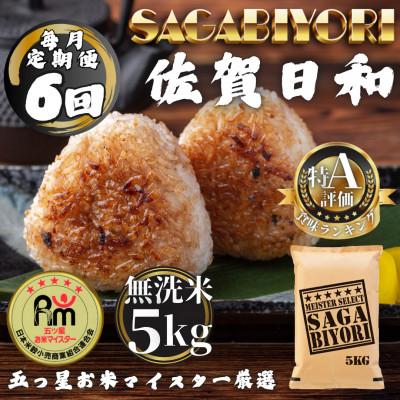 ふるさと納税 多久市 【毎月定期便】【無洗米】さがびより5kg(多久市)全6回