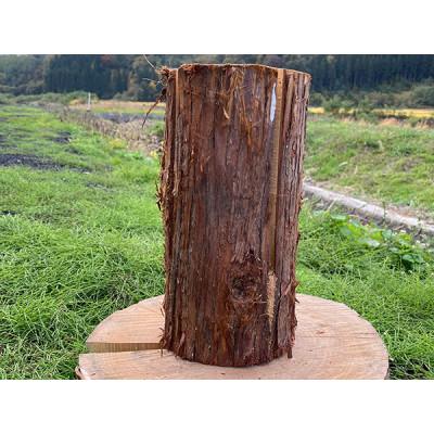 ふるさと納税 小坂町 スウェーデントーチ【杉】高さ30cm×1個