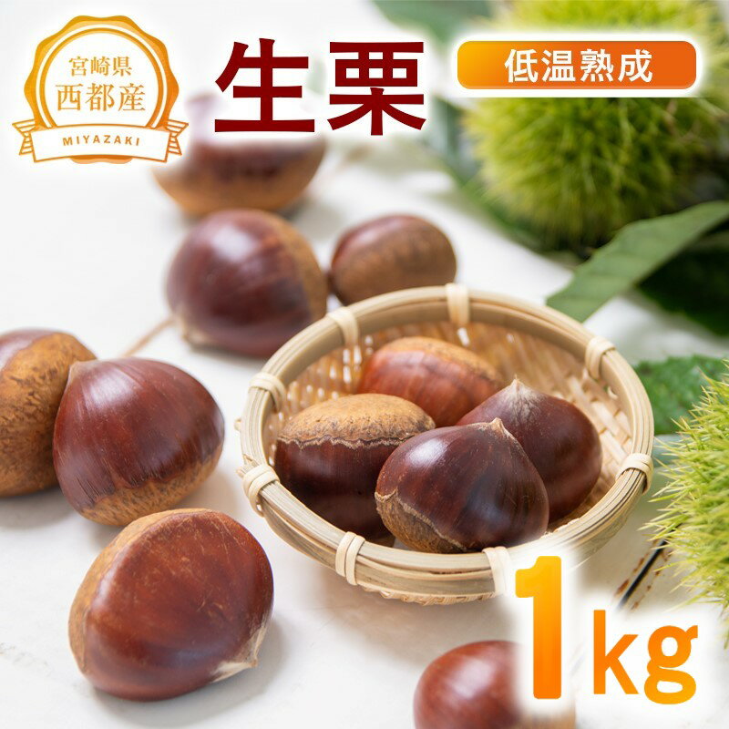 【ふるさと納税】低温熟成「生栗」1kg 国産 宮崎県 西都市 くり＜1-289＞