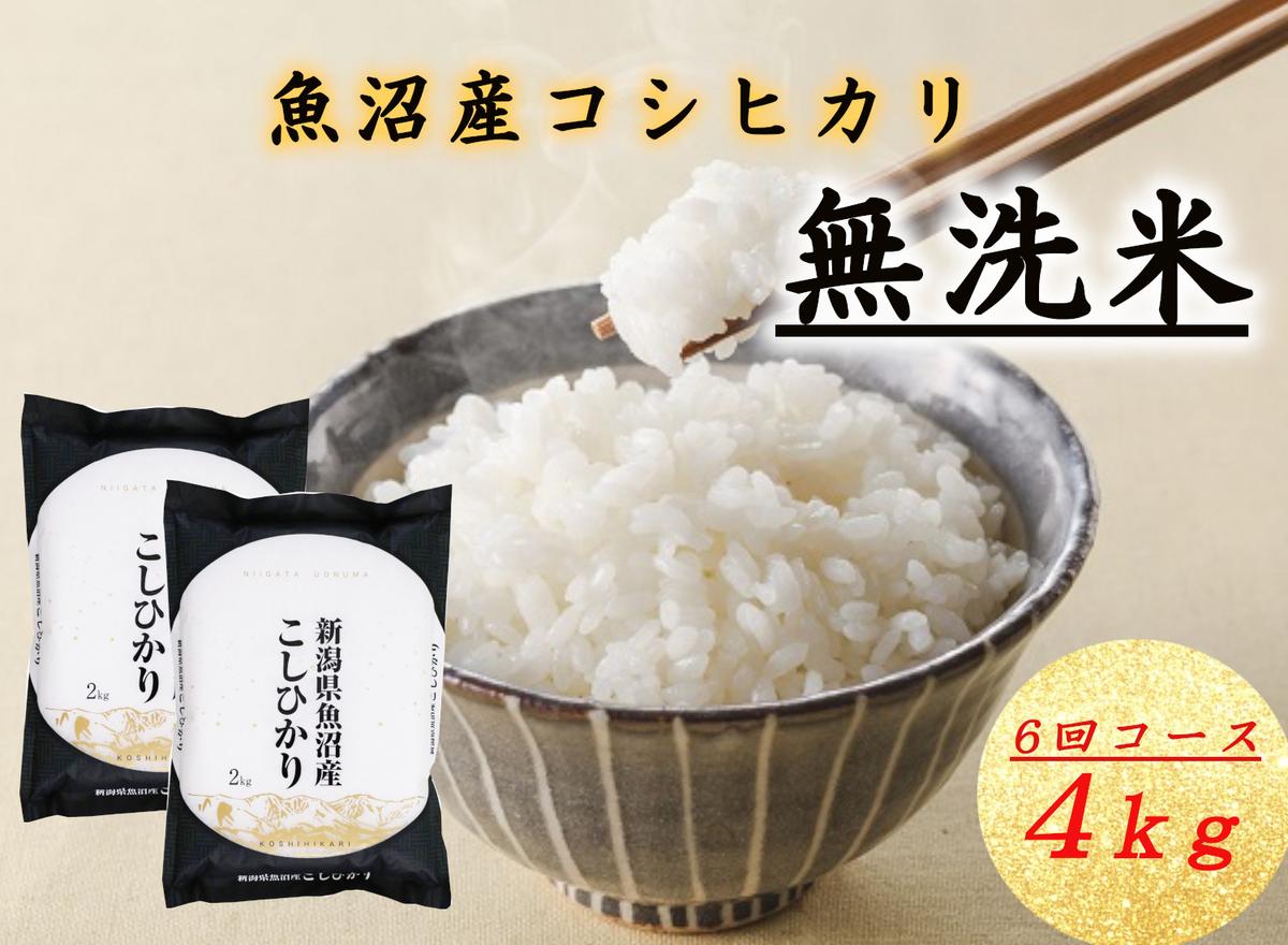 【ふるさと納税】無洗米　魚沼産コシヒカリ　4kg×全6回　米 コメ こしひかり 精米 ブランド米 お取り寄せ 十日町市