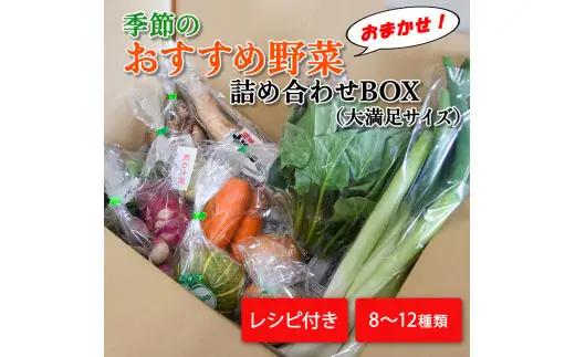 季節のおすすめ野菜おまかせ詰め合わせBOX 8種～12種類 大容量サイズ【16102】