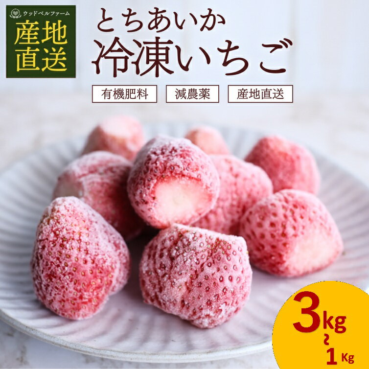 【ふるさと納税】 限定 選べる 完熟 冷凍 とちあいか いちご イチゴ 苺 フルーツ 果物 1kg 2kg 3kg 訳あり 不揃い | 選べる 冷凍 スイーツ ジャム スムージー たっぷり 大粒 甘い 美味しい デザート 人気急上昇 安い お買い得 栃木県 那珂川町 送料無料