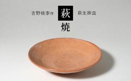 萩焼 吉野桃李作 萩生掛皿