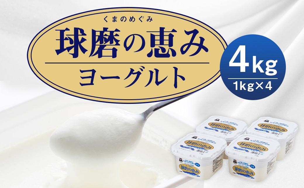 
球磨の恵 ヨーグルト (加糖) 1kg 4パック 合計4kg
