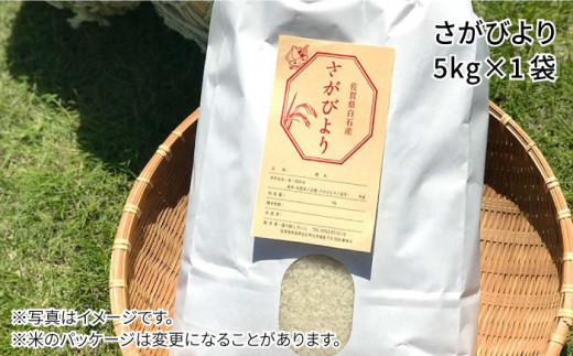 令和6年産 新米 特別栽培米 白石産 さがびより（5kg）【道の駅しろいしカンパニー】 [IAA006]