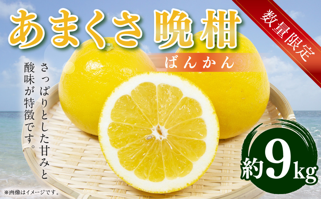 
            【先行受付】【数量限定】あまくさ晩柑 約9kg 晩柑 柑橘 フルーツ 果物 熊本県 上天草市【2026年3月上旬から4月下旬順次発送】
          