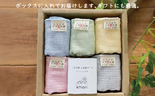 三河木綿 3重織り ガーゼハンカチ 5色セット_【G0308】
