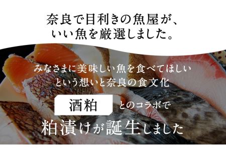 粕漬け 厳選 5種（鰆・鰤・鰈・銀鮭・鯛）×2 H-42