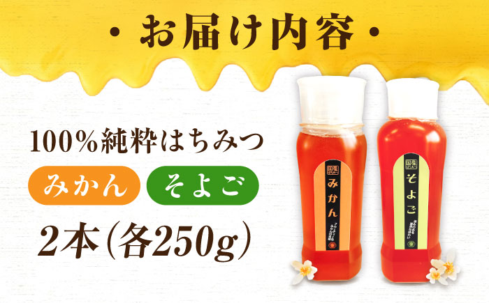 手軽に簡単チューブはちみつ（みかん・そよご）各250g 計2本セット 蜂蜜 ハチミツ お取り寄せ グルメ 三次市/重森養蜂場 [APBO012]