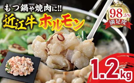 【PRキャンペーン対象】近江牛 ホルモン 焼肉 鍋 1200g ( 600g × 2 ) カメチク 【FK04W】【 近江牛 】 牛肉