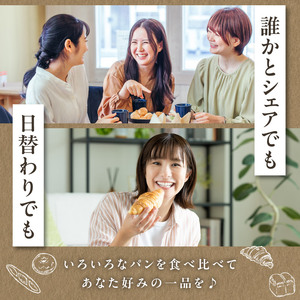 ハード系パン9種＋スコーン1種セット！ 自家培養酵母で焼くハード系パン 合計10点 国産小麦で作るハード系パン 自家製酵母のハード系パン 朝食 軽食 おやつ 自然素材「Boulangerie Fave