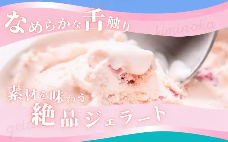  ジェラート セット 12個 10月発送 21000円 / キミノ―カ アイス クリーム スイーツ 野菜 果物【kmk105-oct-12】