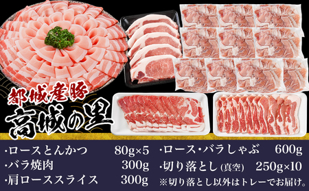 「高城の里」わくわく4.1kgセット(真空)_17-8401-s_(都城市) 都城産豚 高城の里 しゃぶしゃぶ バラ 焼肉 切り落とし 肩ローススライス ロース とんかつ