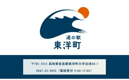 MT002　お米5kgと旬の野菜の詰め合わせ 道の駅東洋町おまかせセット 季節の野菜 米 おまかせ