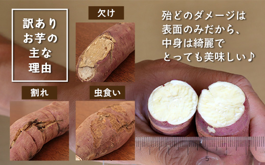 訳あり さつまいも 紅はるか 堀りたて5kg ( 1箱 ) 新物 鹿児島県産 【2025年9月中旬より順次発送】