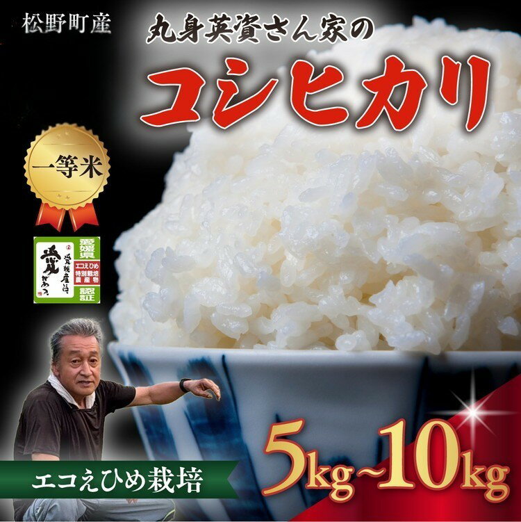 【ふるさと納税】【選べる内容量】【一等米】丸身さん家のエコえひめ栽培コシヒカリ 5kg/10kg ｜ 米 令和7年産 5kg 10kg 国産 ふるさと納税 ※離島への配送不可