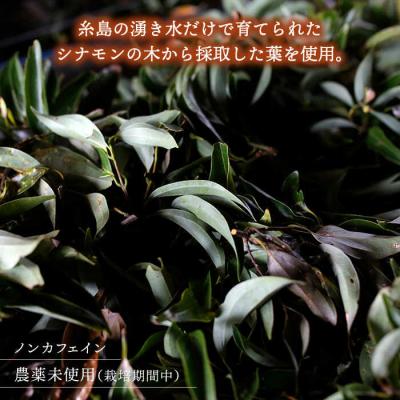 ふるさと納税 糸島市 【全3回定期便】シナモンティー 2袋( 糸島産 シナモンリーフ 100%使用)  [AGC011] |  | 02