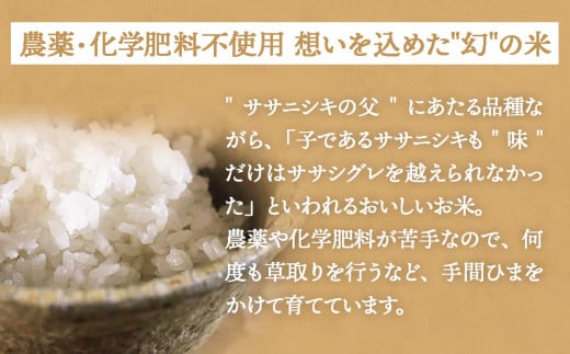 【 先行予約 】ササシグレ 玄米 5kg 新米 米 お米 節減対象農