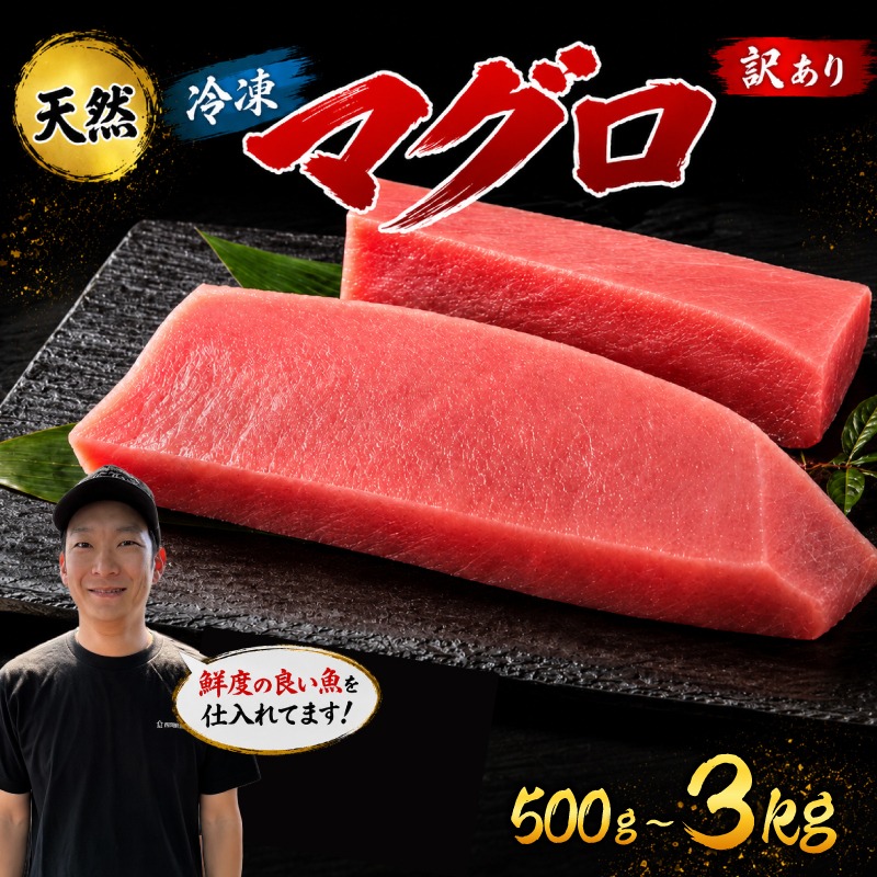 訳あり マグロ 天然 まぐろ 500g ～ 3kg マグロ刺身 マグロ たたき マグロ丼 鮪 マグロ漬け丼の具 冷凍 鮪 ネギトロ丼 マグロ まぐろ ブロック 赤身 天然 スライス刺し身 さしみ 魚介 海鮮 海鮮丼 おかず 惣菜 訳あり 冷凍 規格外 お取り寄せ 冷凍 高知県 安芸市 おいしい 簡単 時短 海の幸 生鮮