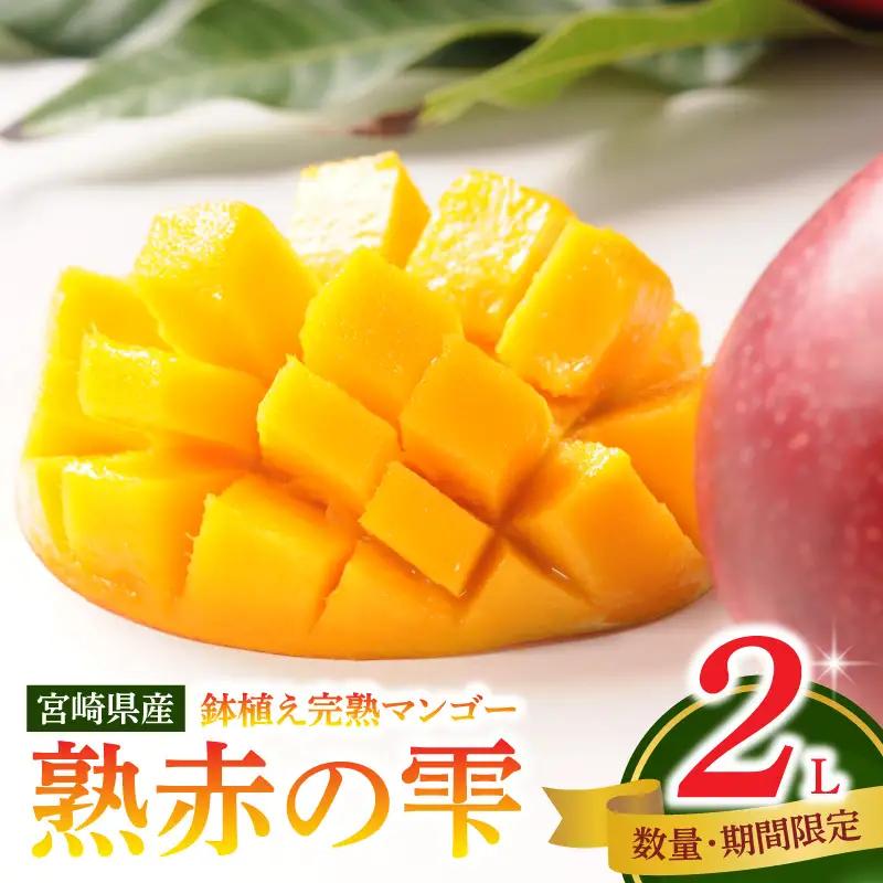 マンゴー 完熟 マンゴー 期間限定[数量限定 《2026年発送先行予約》 宮崎県産鉢植え完熟マンゴー 熟赤の雫(あかのしずく) 化粧箱入り2L×2玉 フルーツ くだもの デザート]