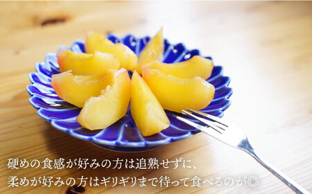 【先行予約】【プラムの王様】 貴陽 （きよう）約2kg（13～15玉）＜竹嶋農園＞ [CEB002] すもも