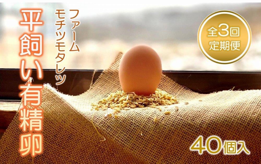 
                  【3回定期便】ファームモチツモタレツの平飼い有精卵（40個入） 【 卵 たまご タマゴ 玉子 卵焼き オムレツ 卵かけご飯 ゆで卵 鶏卵 卵黄 生卵 平飼い 長沼町 北海道 】
                